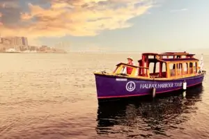 Enjoy the best Halifax Harbour Tours with Halifax Harbour Tours